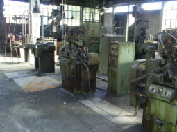 
										Chain Production Line WAFIOS VITARI full									