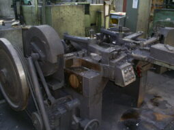 
										Chain Production Line WAFIOS VITARI full									